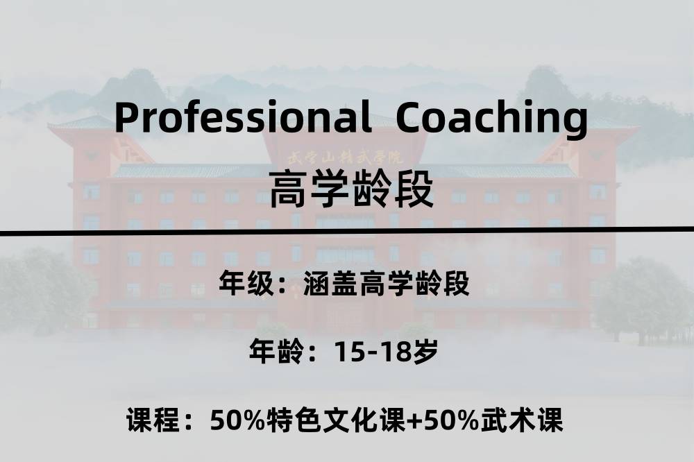 15-18岁高学龄段 15-18岁高学龄段