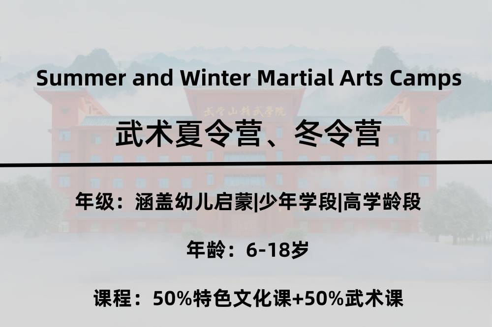 武术夏令营冬令营 武术夏令营冬令营